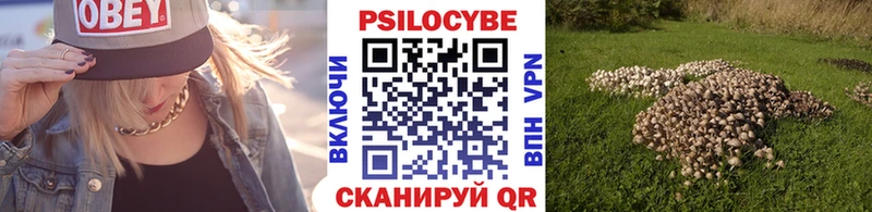 где продают   kraken ссылки  Галлюциногенные грибы GOLDEN TEACHER  Заволжье 