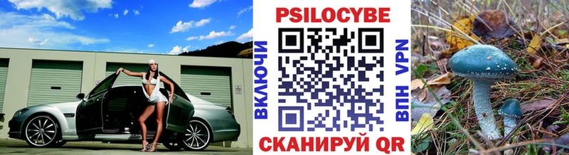 Псилоцибиновые грибы Psilocybine cubensis Заволжье
